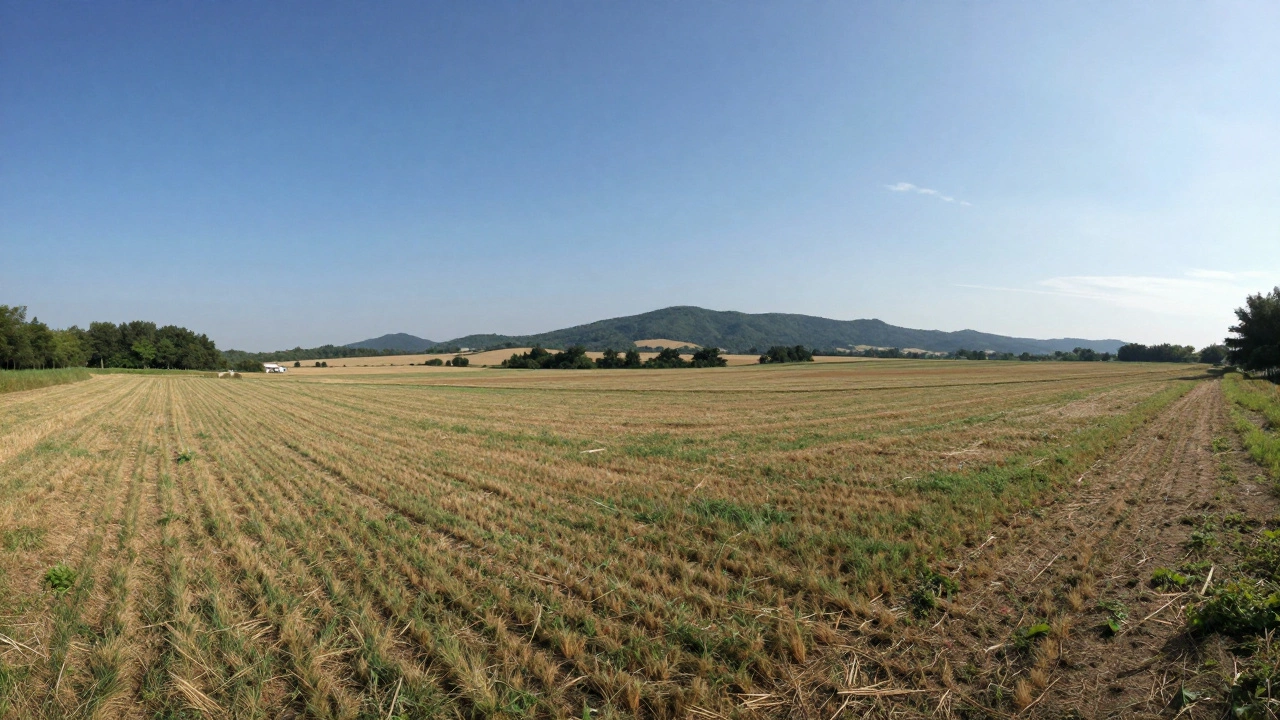 Specialty Options: Performance Fabrics and Faux Leather