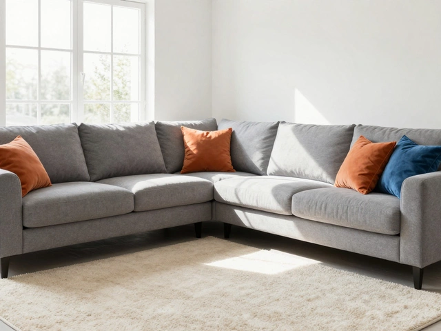 Best Lounge Colors: How to Pick the Perfect Shade for Your Sofa